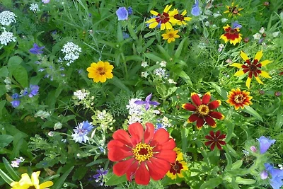 Ferienwohnung mit 2 Schlafzimmer