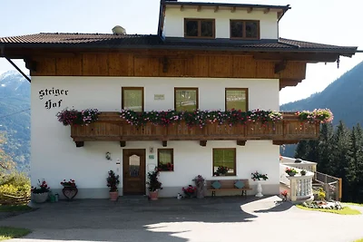 Schöne Ferienwohnung mit Terrasse in...