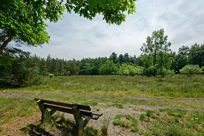 Gepflegtes Ferienhaus in der Achterhoek