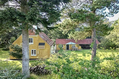 5 Sterne Ferienhaus in Ålbæk