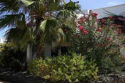 Tropican nell'oasi di benessere Tropical