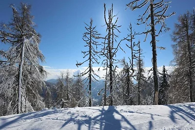 Huis in Bad Kleinkirchheim bij Skilift