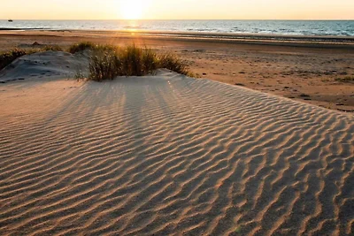Wohnung in Nieuwpoort mit Meerblick