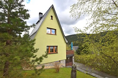 Ferienhaus mit Sauna in Wildenthal