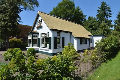 Ferienhaus in der Nähe des Drents-Friese Wold