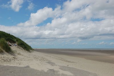 Villa mit Geschirrspüler, auf Texel, Meer 2 k...