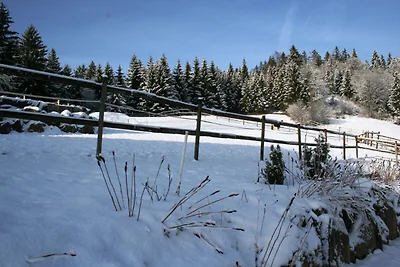 Confortevole appartamento nella Foresta Nera