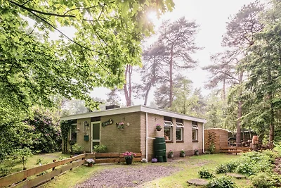 Ferienhaus in Waldnהhe in Ommen mit Pool