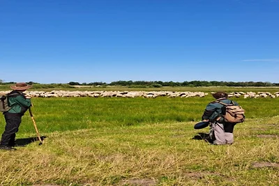 Huisje in Veluwe bij Hoge Veluwe Park