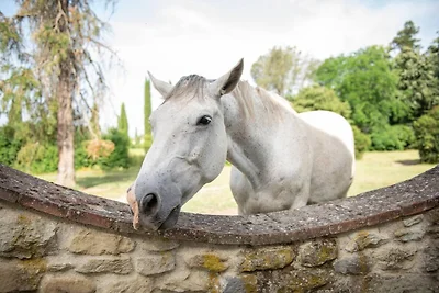 Appartamento a 500 m dal centro di Laterina