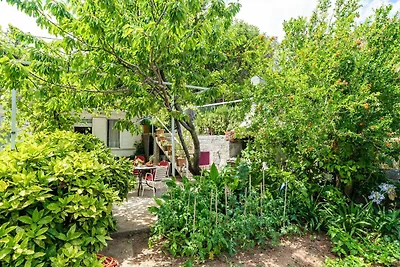 Apartments Zarac - One Bedroom Apartment with...