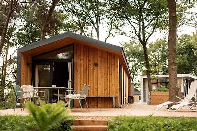Casa vacanze a Haarle vicino Sallandse...