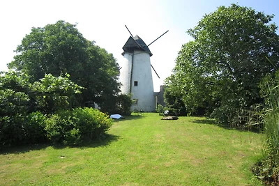 Ferienhaus in den flämischen Ardennen...