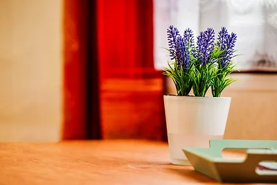 Chalet a Garderen con giardino