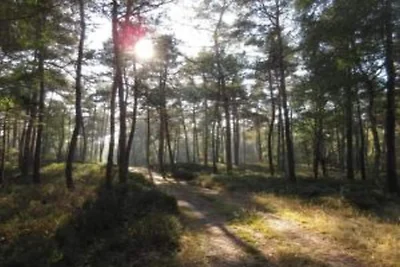 Chalet in Beekbergen near Veluwe Forest