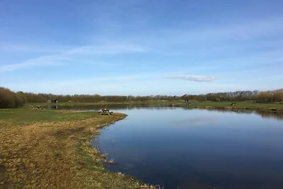 8 Personen Ferienhaus in Tarm