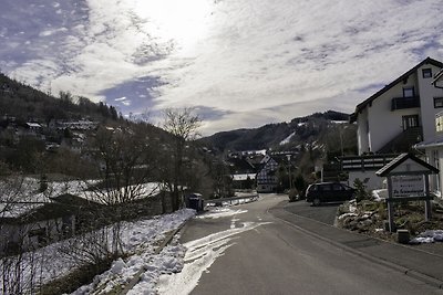 Ferienwohnung in der Nähe des Skigebietes