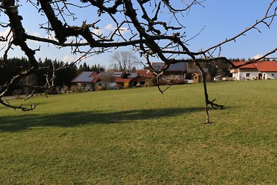 Ferienhaus in Mauth mit Schwimmbecken