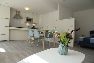 Mooi appartement in Schoorl vlakbij strand