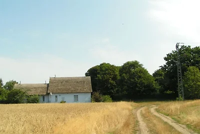 Ferienwohnung mit 1 Schlafzimmer