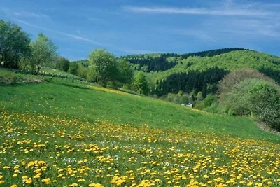 Retraite confortable à Olsberg-Elpe