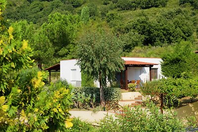 Charming Holiday Home in Palinuro with Privat...