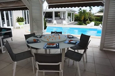 Villa sull'albero del viaggiatore