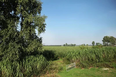 Teil eines Bauernhauses mit privater Terrasse
