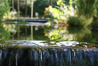 Haus auf Wasser, umgeben von der Natur...