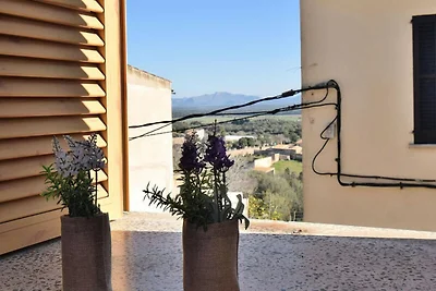 Haus in Maria de la Salut mit Terrasse