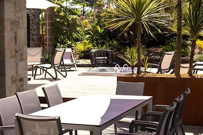 Goldener Ginster · Ploumanach Außergewöhnlich