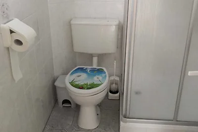 Casa vacanze - Animali domestici ammessi