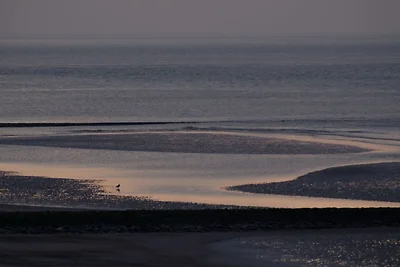 Alte Druckerei Ferienwohnung Cicero