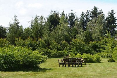 6 Personen Ferienhaus in Brovst-By Traum