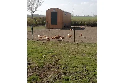 Ferienwohnung mit 1 Schlafzimmer
