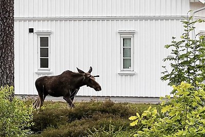 5 Sterne Ferienhaus in ENGELSVIKEN