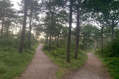 Wohnung in den Niederlanden mit Balkon