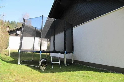 Ferienhaus in Zandt mit Schwimmbecken