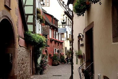 Bellissimo appartamento a Riquewihr