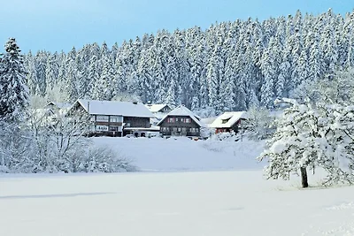 Appartamento per vacanze di 2 locali nella ca...
