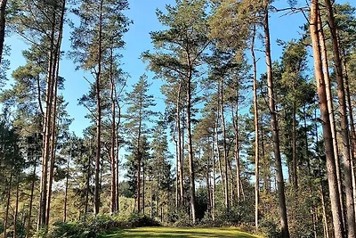 6 Personen Ferienhaus in Gjern-By Traum