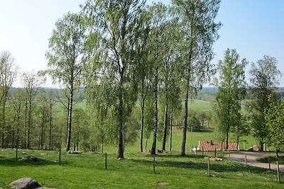 4 Personen Ferienhaus in Romelanda-By Traum