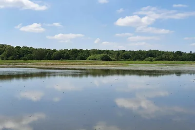 8 persoons vakantie huis in Ørsted-By Traum