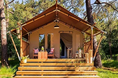 Tenda da campeggio glamping nelle Ardenne