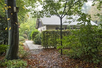 Knus huis met open haard op vakantiepark in n...