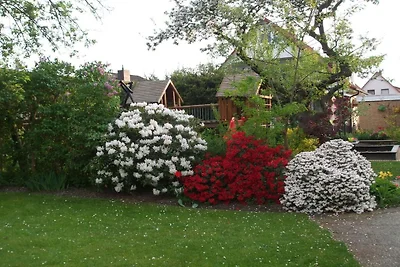 Ferienhaus mit 7 Schlafzimmer
