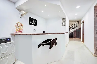 Super Collection O Shalimar Bagh