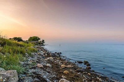 4 Personen Ferienhaus in Tranekær
