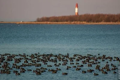 Ferienwohnung in Orth auf Fehmarn