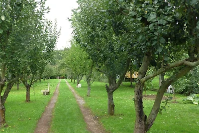 Casa vacanze a Neinstedt vicino alla foresta